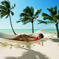 Отзыв от Амира - виза ДТВ